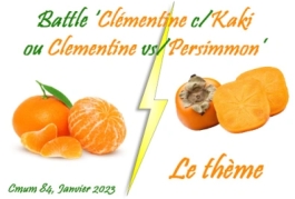theme-clementine-kaki
