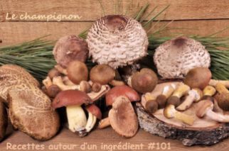 champignon-recettes-autour-dun-ingredient-101-le-theme-24354540-copy.psdr_